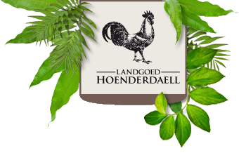 logo hoenderdaell